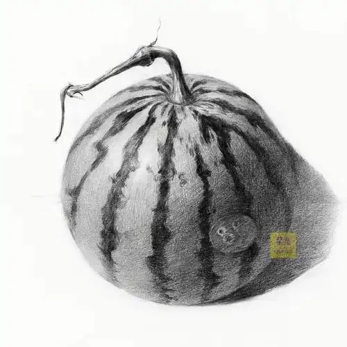 西瓜素描绘画