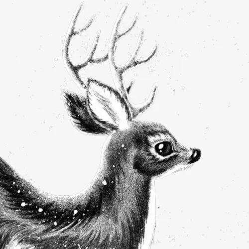 素描麋鹿画