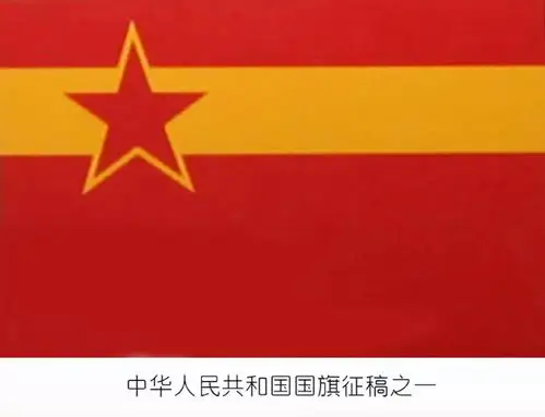 孙杨护国旗生为中国人请你对五星红旗放尊重点