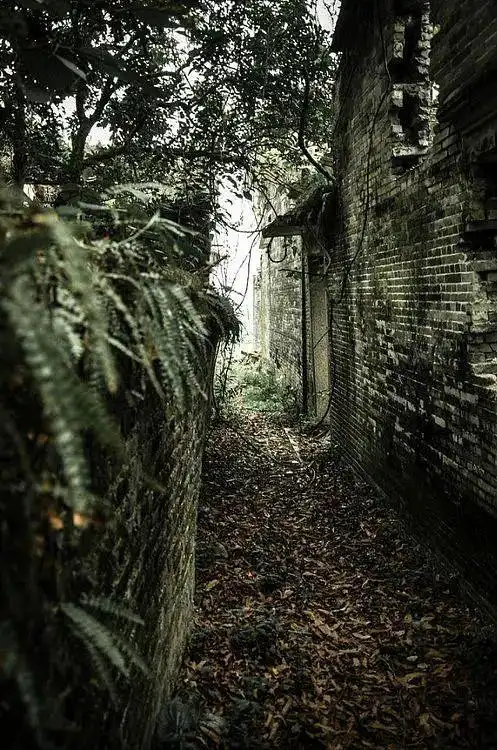 开平有条恐怖的村落,阴风阵阵,你去过没有?|无人村|废墟_网易订阅