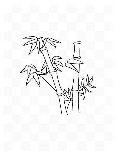 i>线 /i> i>稿 /i>竹子免抠下载