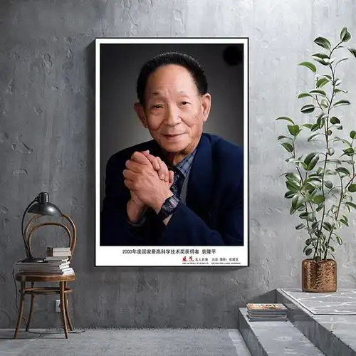中国中国科中国科学科学家名人伟人袁隆平挂画水稻之父现代装饰画
