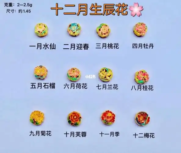 十二月生辰花美腻了