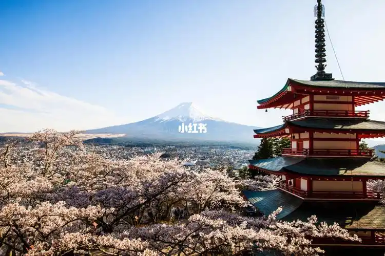 日本旅游去看富士山和樱花