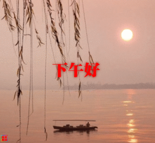 下午好日常问候祝福动图每一张都漂亮至极