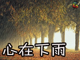 心情伤感文艺soogifsoogif出品心在下雨gif动图_动态图_表情包下载