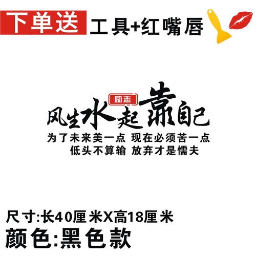 唐杉(tangshan)风生水起靠自己车贴网红文字励志车门贴创意个性后档