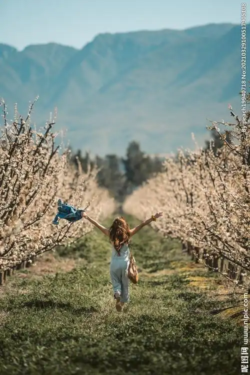 背影素材摄影图__女性女人_人物图库_摄影图库_昵图网nipic.com