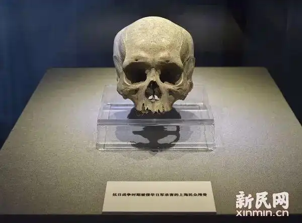 铁证如山日军百人斩武士刀再现侵华日军在淞沪地区的暴行实物展