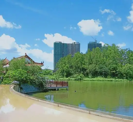 珍致写意 艺享人生_台山市世茂.御泉十里张征师生画展