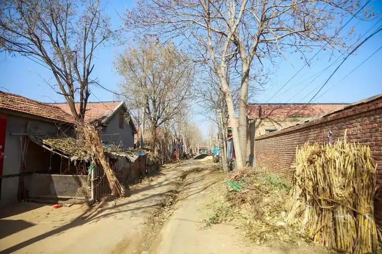 回潍坊农村老家看望叔叔,老两口忙着烧火做饭全是我爱吃的