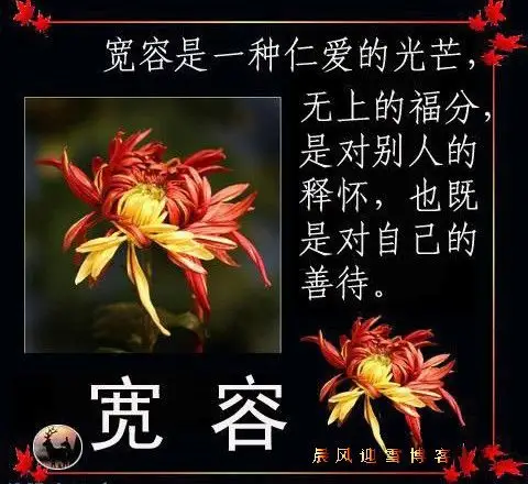宽容(图文)