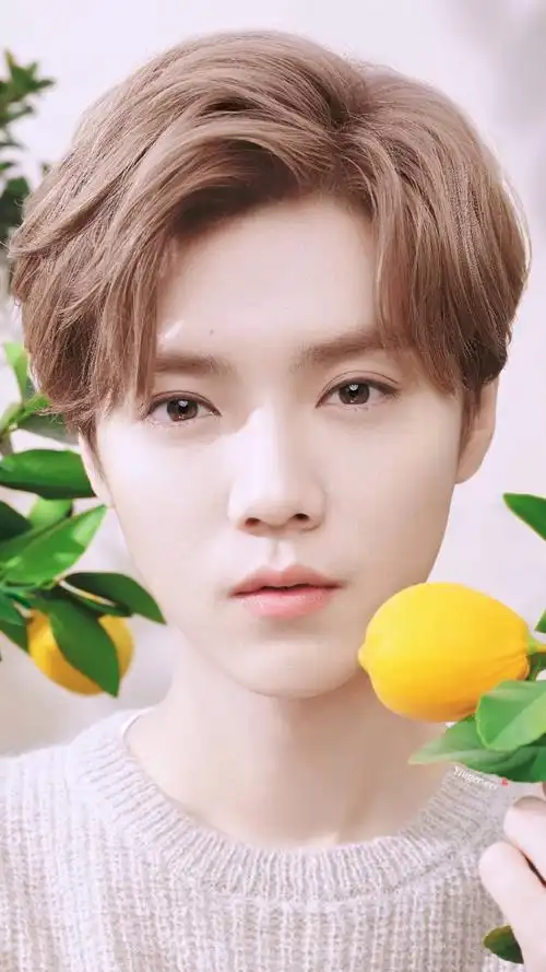 鹿晗-堆糖,美好生活研究所