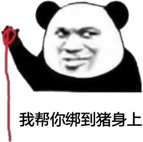 我帮你绑到猪身上姻缘线姻缘身上表情