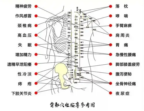 你的"背"泄露你的健康