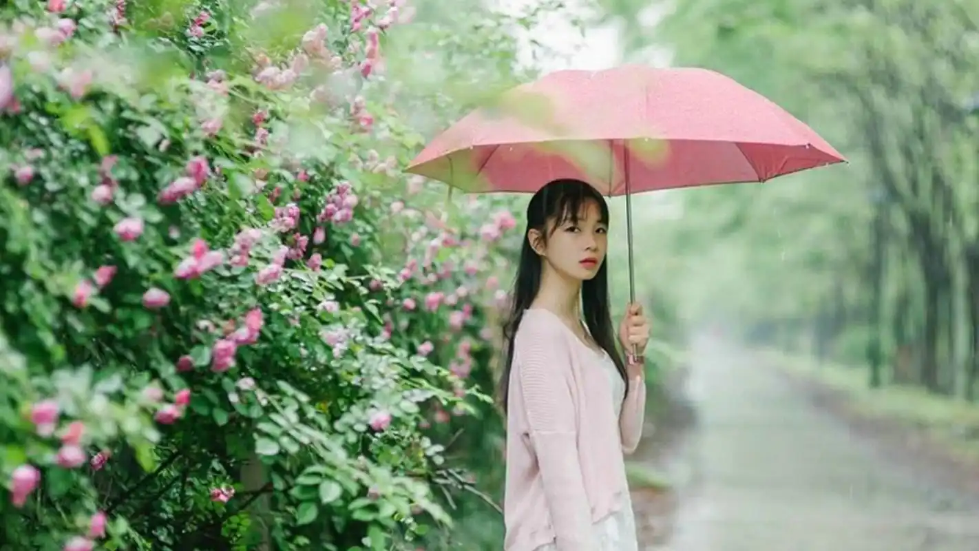 文艺范美女雨中撑伞户外写真图片桌面壁纸