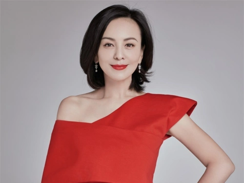 雪姨王琳肖像授权费用