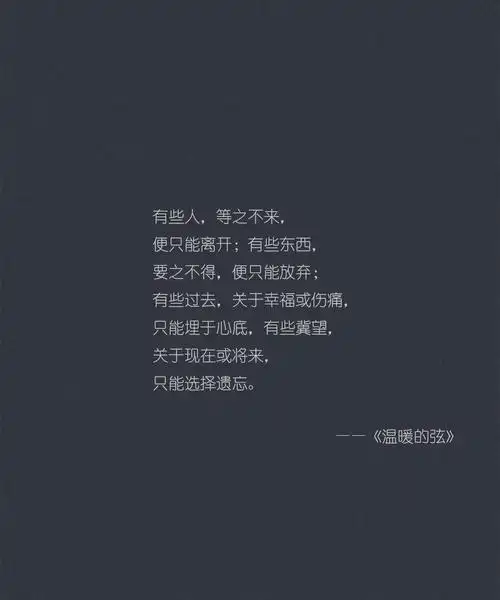 清新文艺的句子