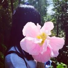 收集   点赞  评论  短发女生头像 0 331 半妖倾城  发布到  花.