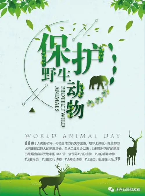 西华师范大学音乐学院新时代文明实践专项行动保护野生动物倡议书