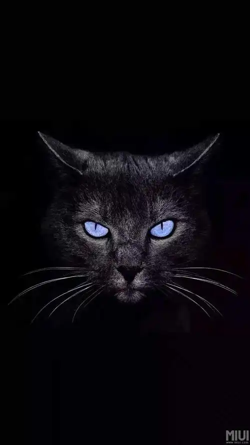 抖音上那个大火的宇智波鼬开灯壁纸8se可以用吗