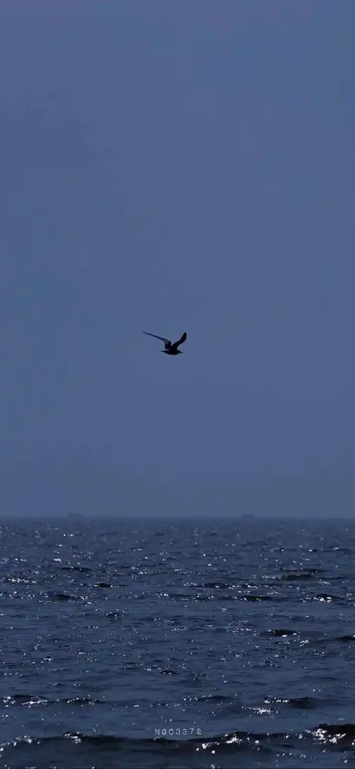 真的很喜欢墨蓝色/深蓝色