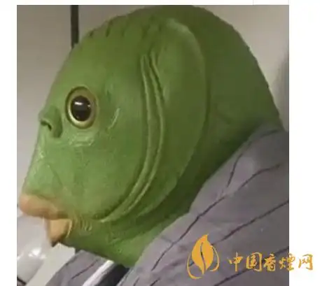 绿头鱼如何喝水 抖音绿头鱼头套表情包