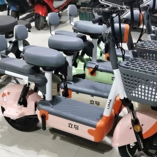 立马电动自行车   48伏20安   最新款   全国包邮出行脚踏豪华