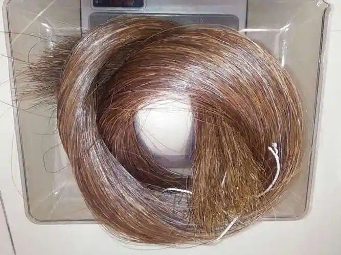 棕色马尾50克 马尾巴毛 小提琴弓毛 鸟套编织 工艺品编织真正马毛