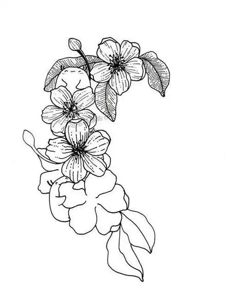 关于一簇花的简笔画 简笔画图片大全-普车都