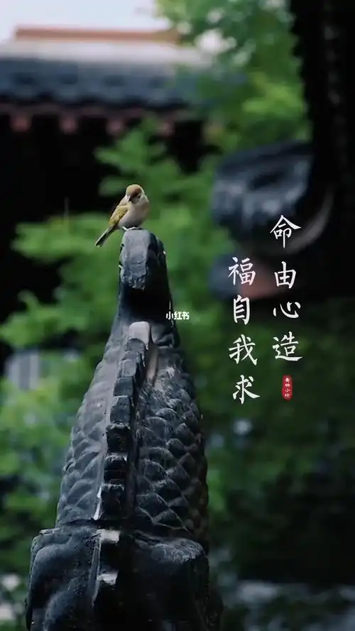 禅意生活唯美意境