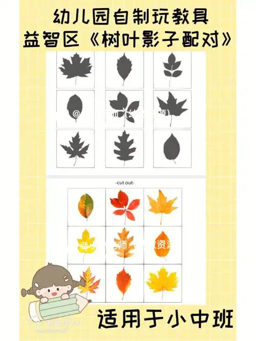 小中班益智区树叶影子配对