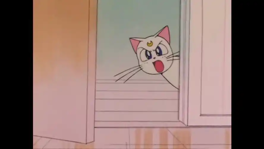 《美少女战士》亚提密斯