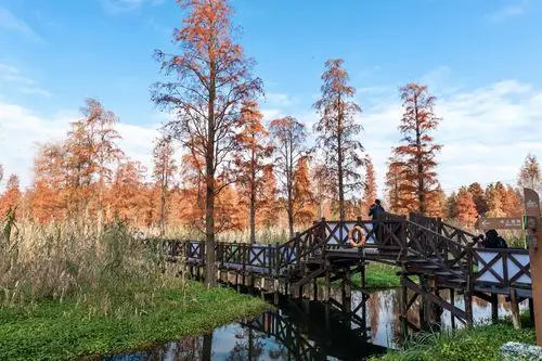 上海青西郊野公园