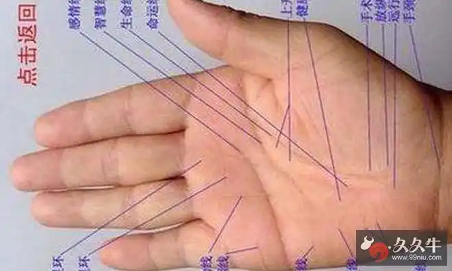 生命线短的人真的寿命比较短吗揭秘手相谎言