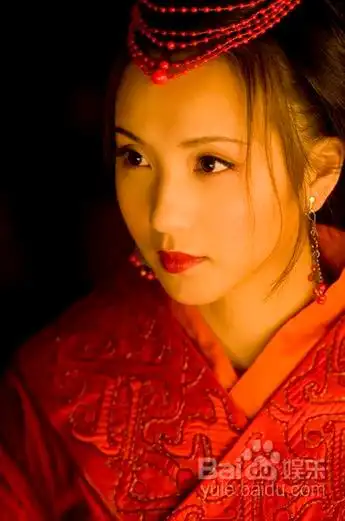 历史小说《 a target="_blank" href="/item/三国演义/5782" data