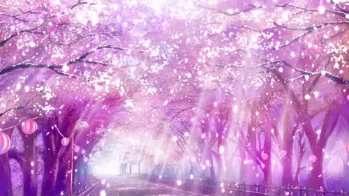 樱花树街道花瓣飘落浪漫梦幻背景视频