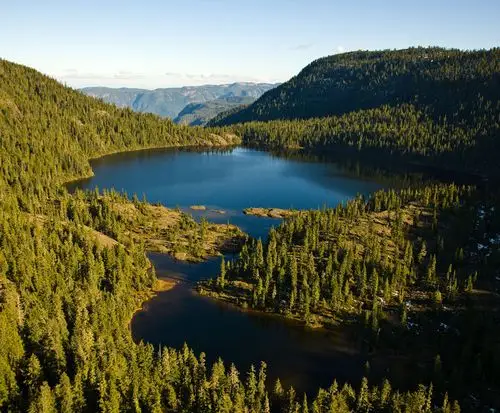 of timberwest forest corporation, the largest private landowner