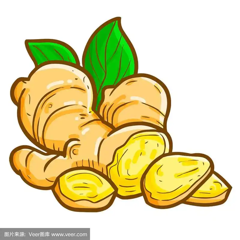 卡通风格的姜