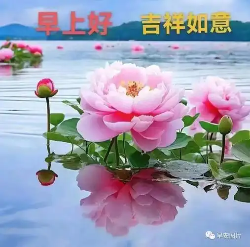 11月5日早安漂亮图片大全温馨早安问候祝福语