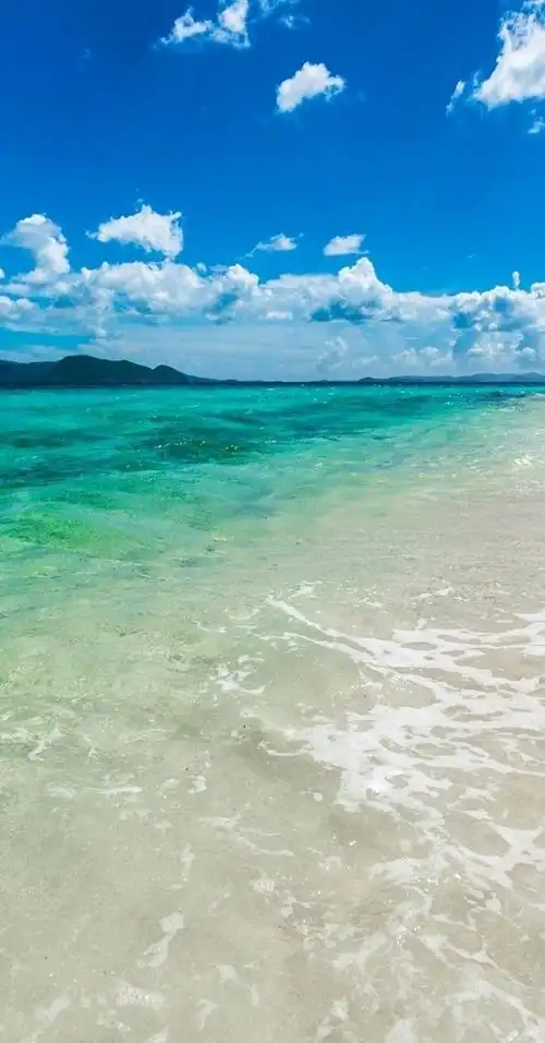 谁有好看的壁纸分享一下 - 华为nova5/nova5 pro分享交流 花粉俱乐部