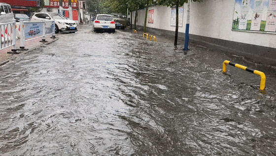 暴雨预警平顶山掉进雨窝更加刺激的是接下来15天还是雨雨雨