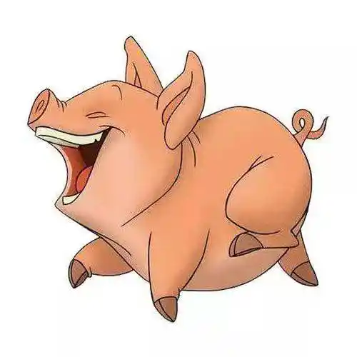 12生肖猪图片 十二生肖猪的图片大全