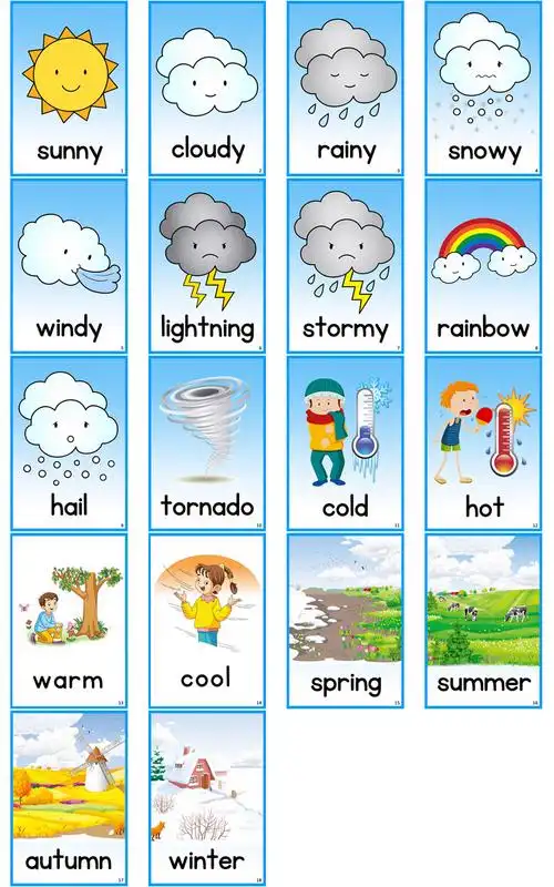 weather天气季节四季认知语言训练英语单词卡片早教闪卡