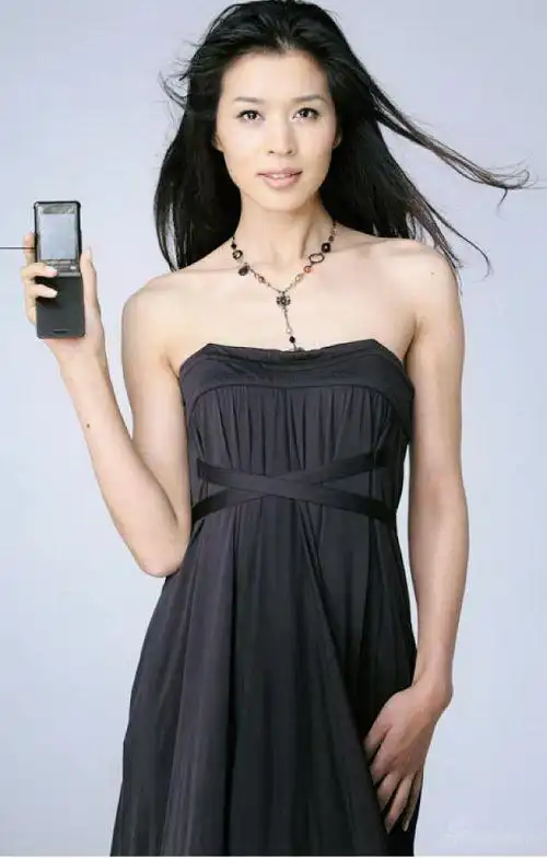 王海珍高贵气质性感代言国际品牌(图)