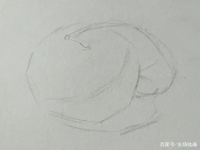 橘子的结构简单,在素描表现中不是很难,今天就和大家分享橘子素描绘画