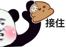 抖音接住我的爱表情包有哪些抖音接住我的爱表情包分享