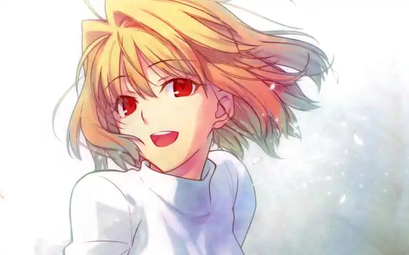 月姬格斗公主爱尔奎特挑战全角色end紫妈奶