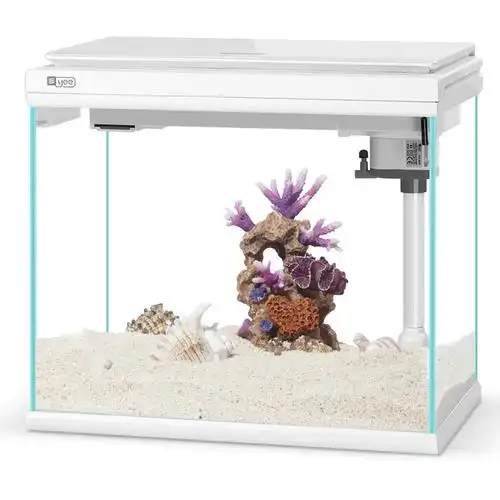 小型鱼缸造景水族箱办公客厅家用桌面超白玻璃生态鱼缸懒人金鱼缸 -