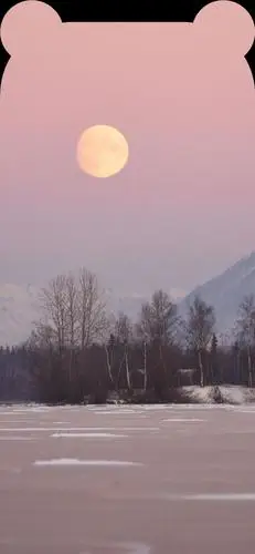 「刘海屏壁纸」把日子过成诗,简单而精致
